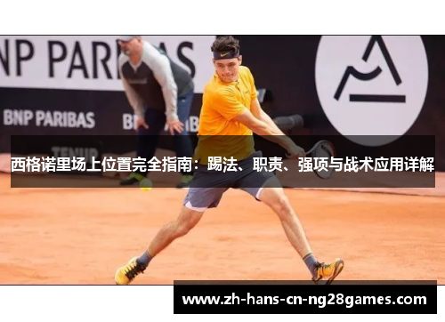 西格诺里场上位置完全指南：踢法、职责、强项与战术应用详解