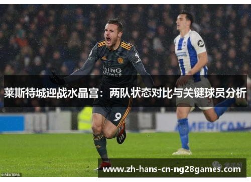 莱斯特城迎战水晶宫：两队状态对比与关键球员分析