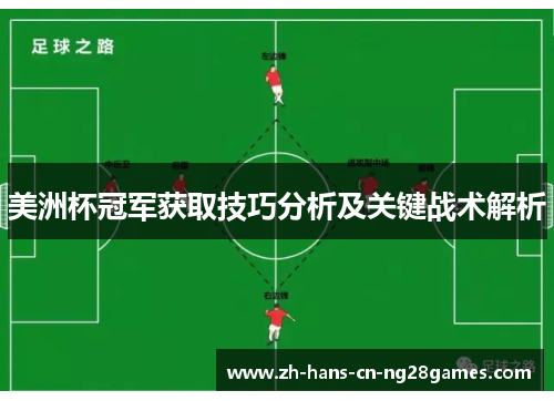 美洲杯冠军获取技巧分析及关键战术解析