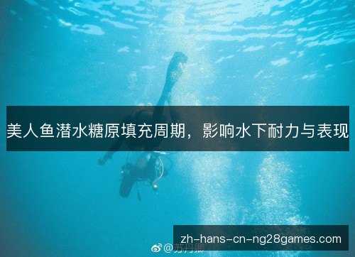 美人鱼潜水糖原填充周期，影响水下耐力与表现